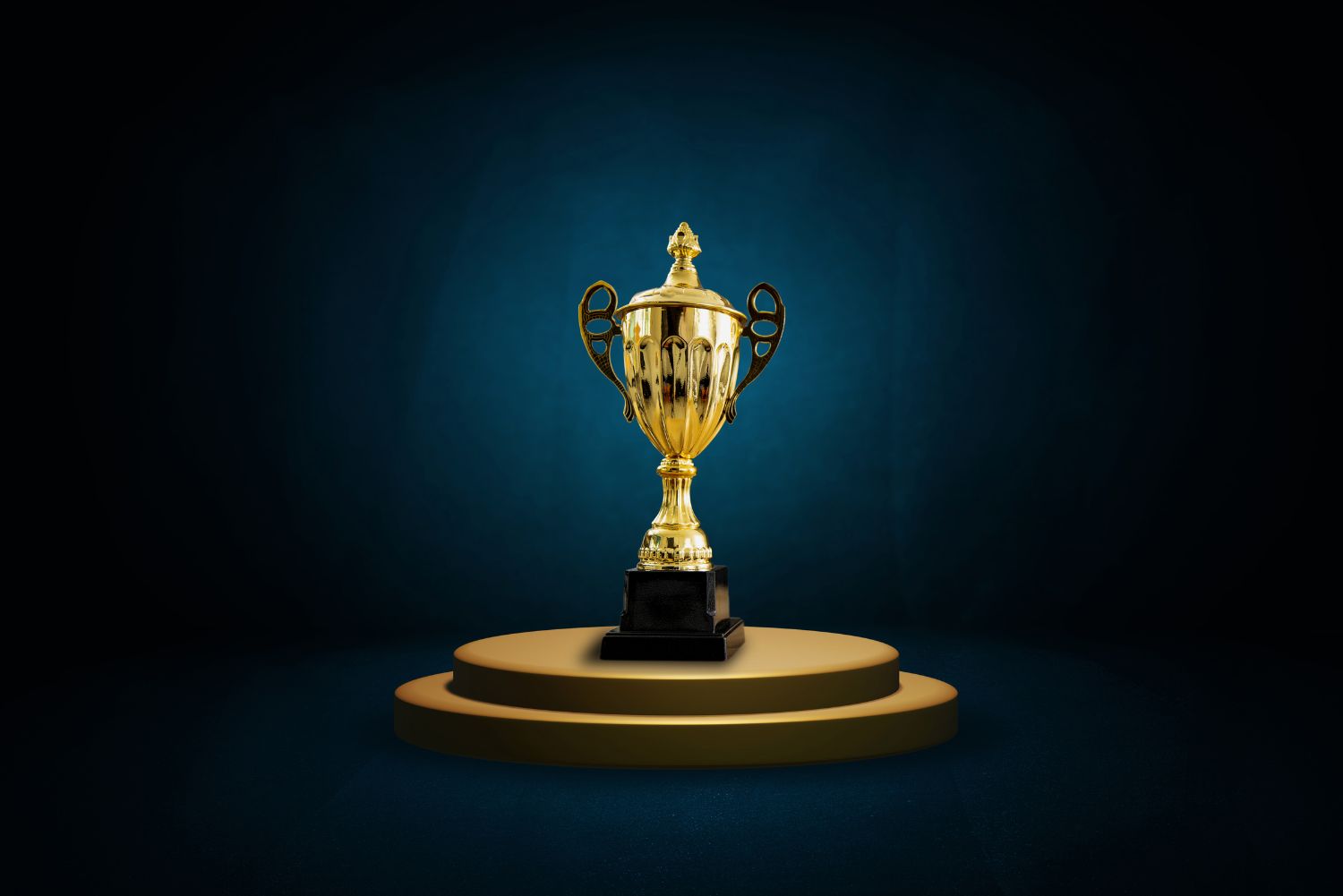 Stevie Awards Press Release